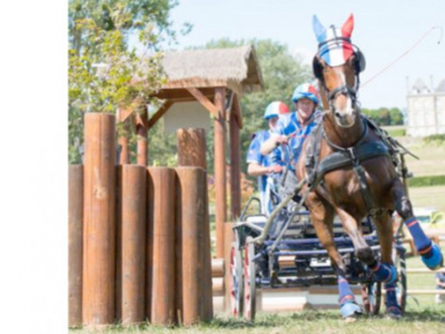 Championnat du Monde d’attelage : ce sera au Pin